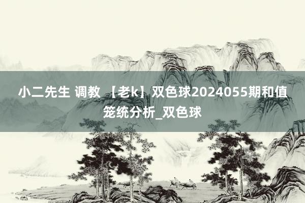 小二先生 调教 【老k】双色球2024055期和值笼统分析_双色球