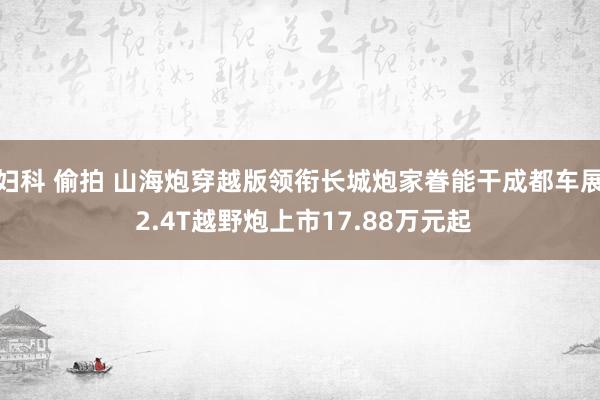 妇科 偷拍 山海炮穿越版领衔长城炮家眷能干成都车展 2.4T越野炮上市17.88万元起