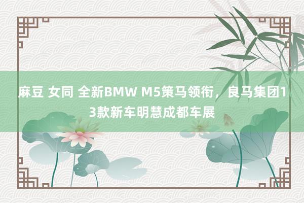 麻豆 女同 全新BMW M5策马领衔，良马集团13款新车明慧成都车展