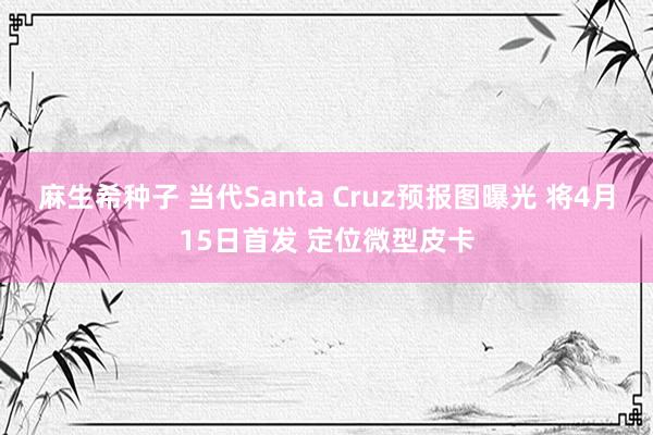 麻生希种子 当代Santa Cruz预报图曝光 将4月15日首发 定位微型皮卡