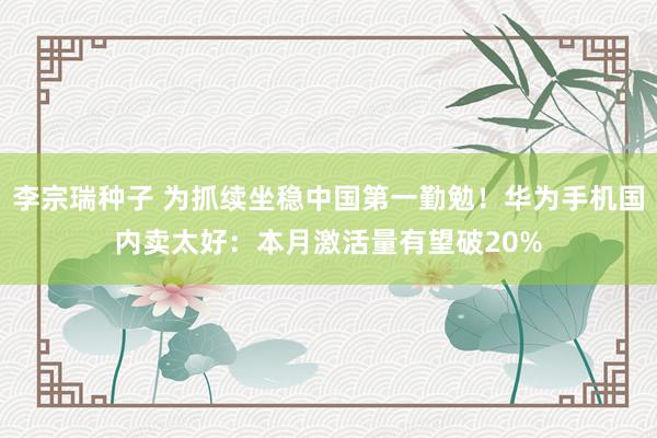 李宗瑞种子 为抓续坐稳中国第一勤勉！华为手机国内卖太好：本月激活量有望破20%