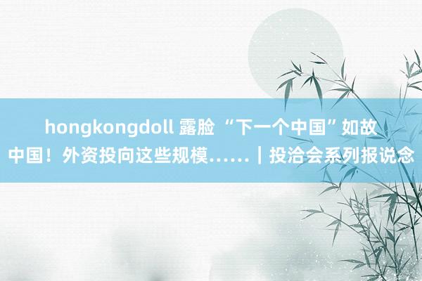 hongkongdoll 露脸 “下一个中国”如故中国！外资投向这些规模……｜投洽会系列报说念