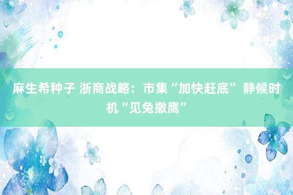 麻生希种子 浙商战略：市集“加快赶底” 静候时机“见兔撒鹰”