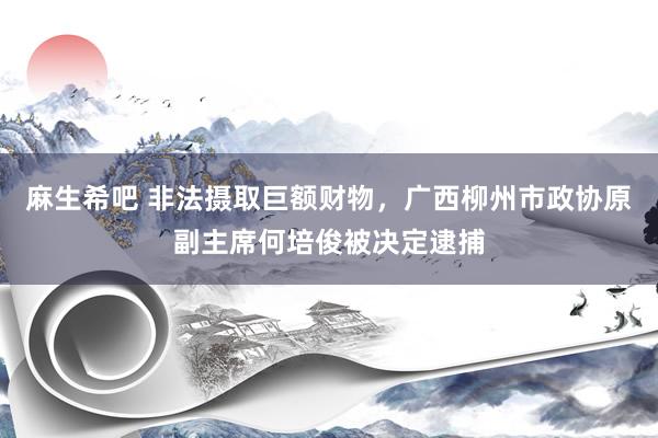 麻生希吧 非法摄取巨额财物，广西柳州市政协原副主席何培俊被决定逮捕