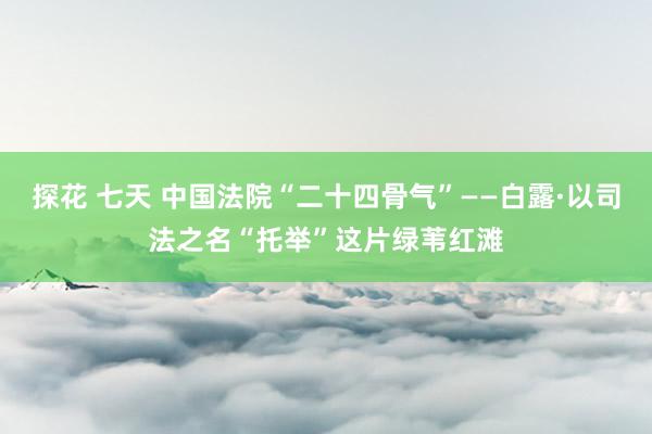 探花 七天 中国法院“二十四骨气”——白露·以司法之名“托举”这片绿苇红滩