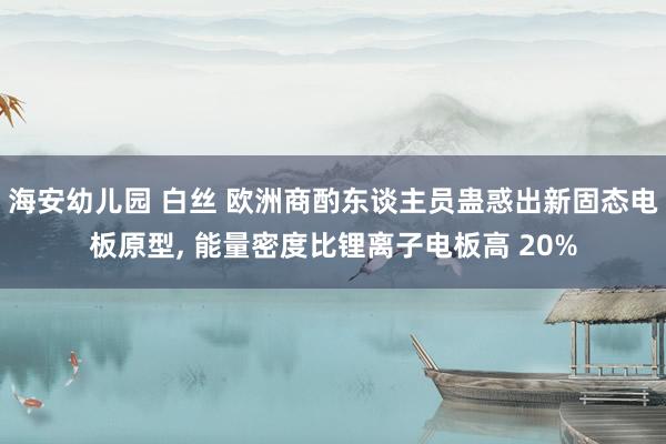 海安幼儿园 白丝 欧洲商酌东谈主员蛊惑出新固态电板原型， 能量密度比锂离子电板高 20%