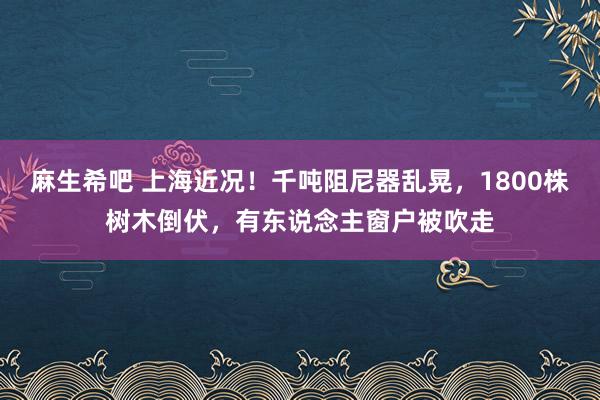 麻生希吧 上海近况！千吨阻尼器乱晃，1800株树木倒伏，有东说念主窗户被吹走