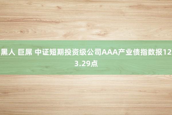 黑人 巨屌 中证短期投资级公司AAA产业债指数报123.29点