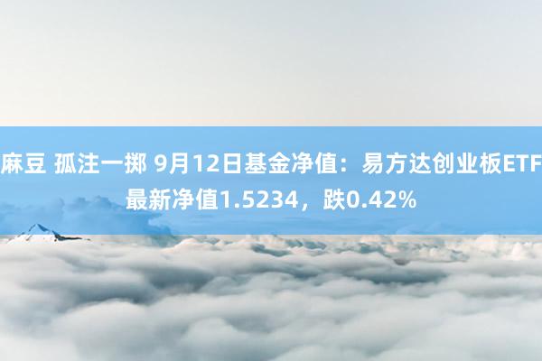 麻豆 孤注一掷 9月12日基金净值：易方达创业板ETF最新净值1.5234，跌0.42%