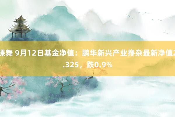 裸舞 9月12日基金净值：鹏华新兴产业搀杂最新净值2.325，跌0.9%