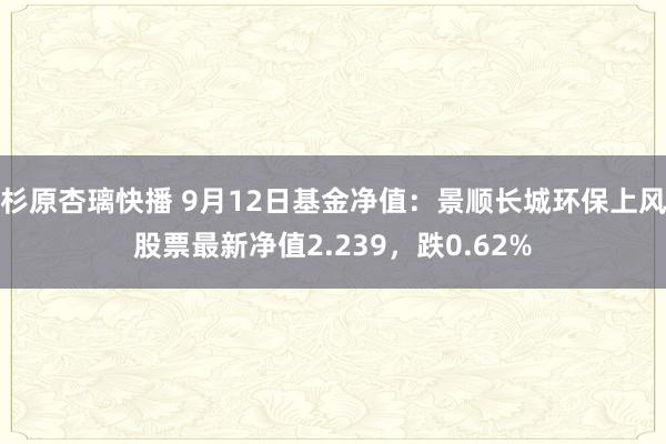 杉原杏璃快播 9月12日基金净值：景顺长城环保上风股票最新净值2.239，跌0.62%