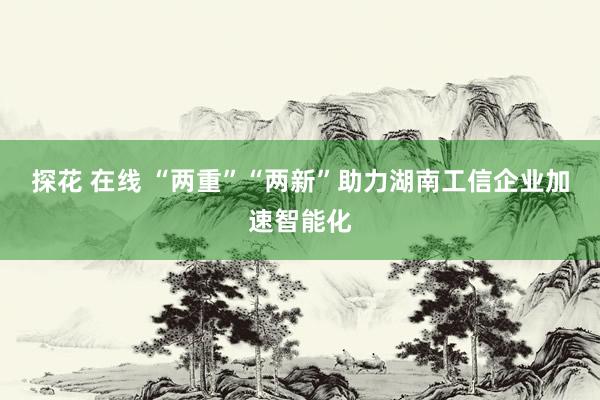 探花 在线 “两重”“两新”助力湖南工信企业加速智能化