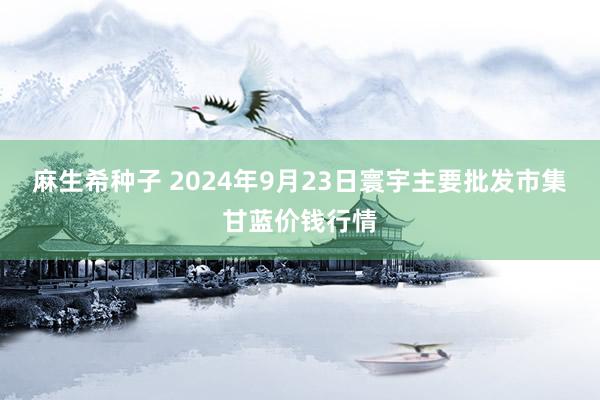 麻生希种子 2024年9月23日寰宇主要批发市集甘蓝价钱行情