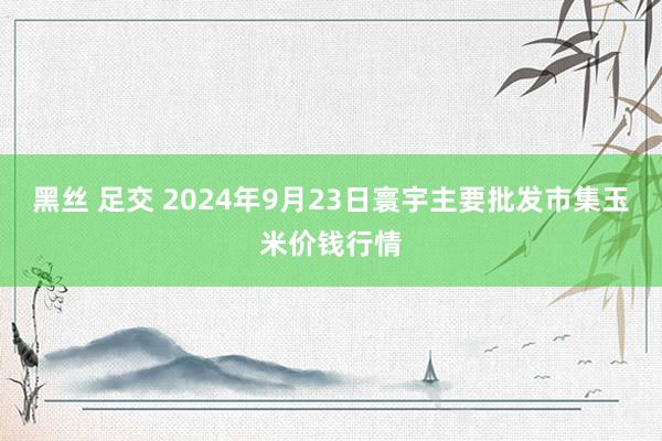 黑丝 足交 2024年9月23日寰宇主要批发市集玉米价钱行情