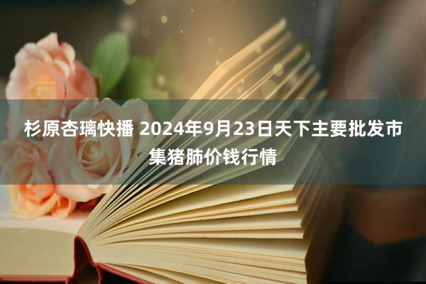 杉原杏璃快播 2024年9月23日天下主要批发市集猪肺价钱行情