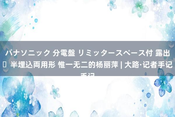 パナソニック 分電盤 リミッタースペース付 露出・半埋込両用形 惟一无二的杨丽萍 | 大路·记者手记