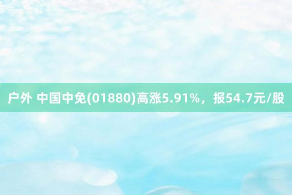 户外 中国中免(01880)高涨5.91%，报54.7元/股