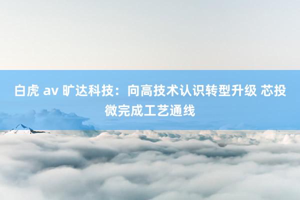 白虎 av 旷达科技：向高技术认识转型升级 芯投微完成工艺通线