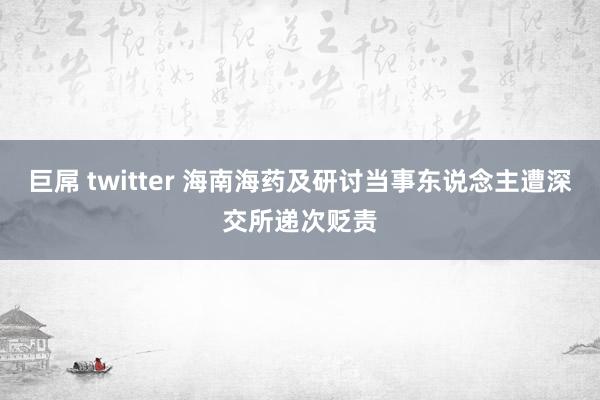 巨屌 twitter 海南海药及研讨当事东说念主遭深交所递次贬责