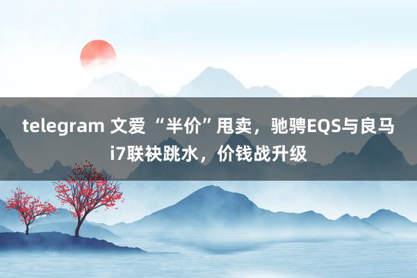 telegram 文爱 “半价”甩卖，驰骋EQS与良马i7联袂跳水，价钱战升级