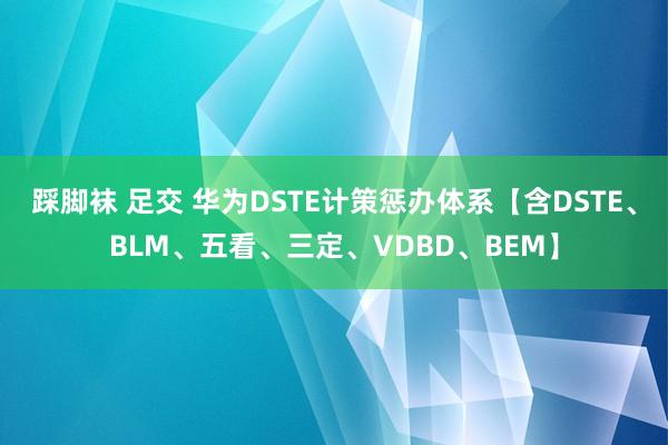 踩脚袜 足交 华为DSTE计策惩办体系【含DSTE、BLM、五看、三定、VDBD、BEM】