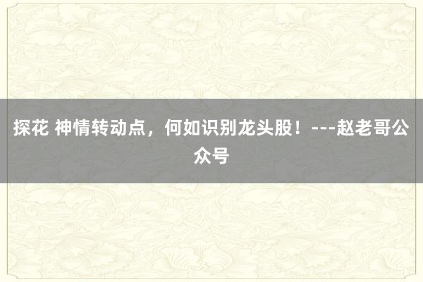 探花 神情转动点，何如识别龙头股！---赵老哥公众号