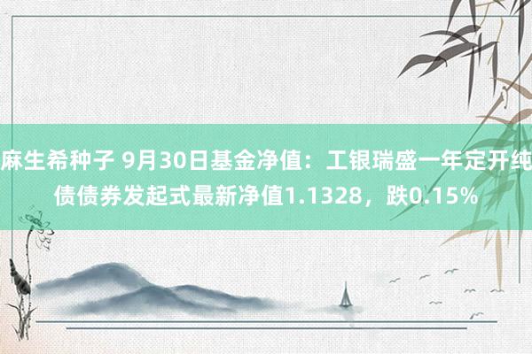 麻生希种子 9月30日基金净值：工银瑞盛一年定开纯债债券发起式最新净值1.1328，跌0.15%