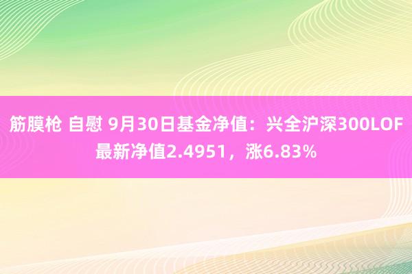 筋膜枪 自慰 9月30日基金净值：兴全沪深300LOF最新净值2.4951，涨6.83%