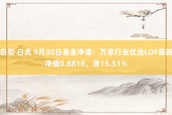 自慰 白虎 9月30日基金净值：万家行业优选LOF最新净值0.8818，涨15.51%