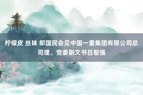 柠檬皮 丝袜 郎国民会见中国一重集团有限公司总司理、党委副文书吕智强