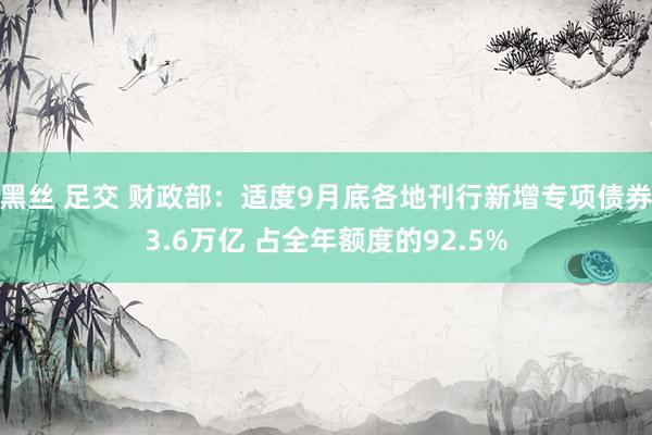 黑丝 足交 财政部：适度9月底各地刊行新增专项债券3.6万亿 占全年额度的92.5%