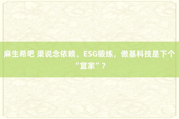 麻生希吧 渠说念依赖、ESG锻练，傲基科技是下个“宜家”？