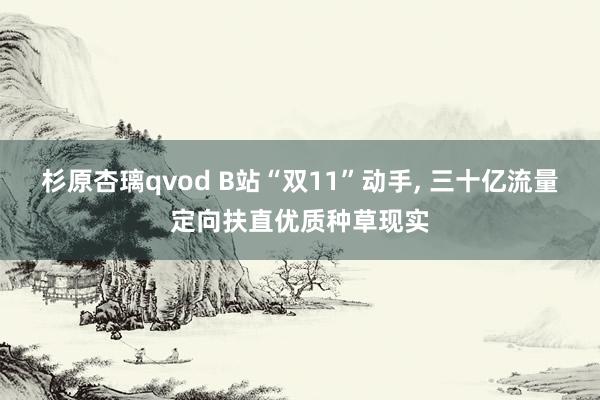 杉原杏璃qvod B站“双11”动手， 三十亿流量定向扶直优质种草现实