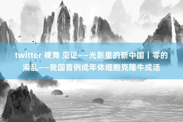 twitter 裸舞 见证——光影里的新中国丨零的淆乱——我国首例成年体细胞克隆牛成活