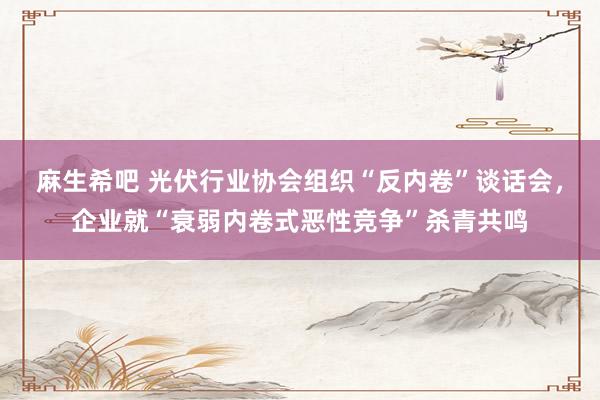 麻生希吧 光伏行业协会组织“反内卷”谈话会，企业就“衰弱内卷式恶性竞争”杀青共鸣