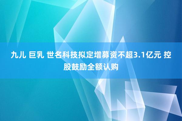 九儿 巨乳 世名科技拟定增募资不超3.1亿元 控股鼓励全额认购