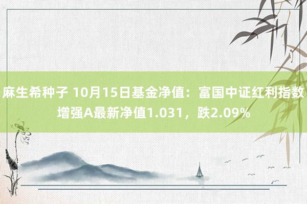 麻生希种子 10月15日基金净值：富国中证红利指数增强A最新净值1.031，跌2.09%