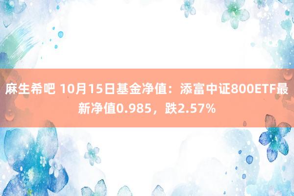 麻生希吧 10月15日基金净值：添富中证800ETF最新净值0.985，跌2.57%