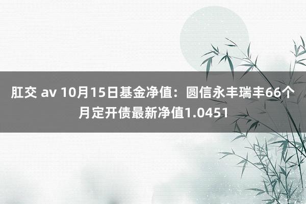 肛交 av 10月15日基金净值：圆信永丰瑞丰66个月定开债最新净值1.0451