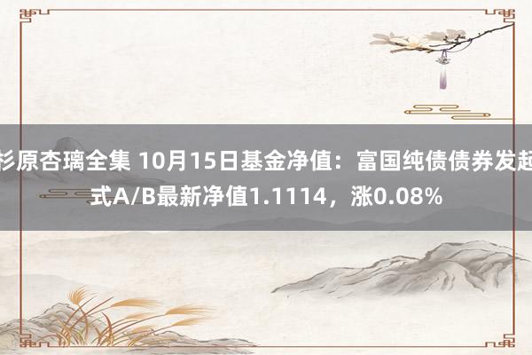 杉原杏璃全集 10月15日基金净值：富国纯债债券发起式A/B最新净值1.1114，涨0.08%