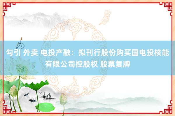 勾引 外卖 电投产融：拟刊行股份购买国电投核能有限公司控股权 股票复牌