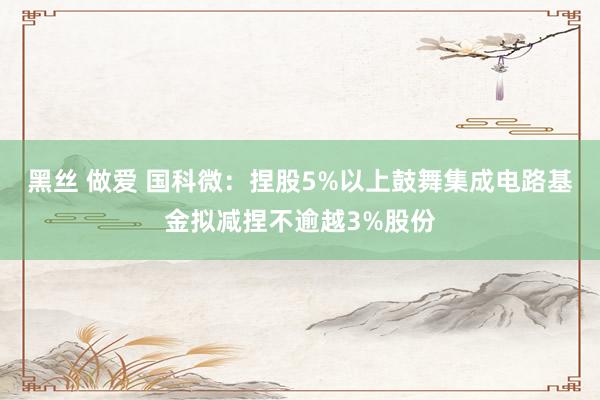 黑丝 做爱 国科微：捏股5%以上鼓舞集成电路基金拟减捏不逾越3%股份