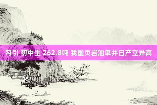 勾引 初中生 262.8吨 我国页岩油单井日产立异高