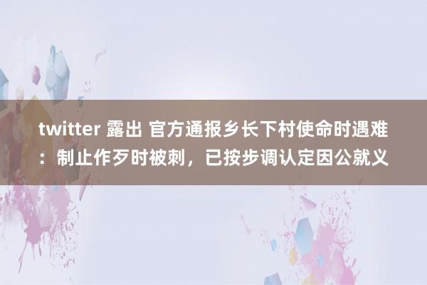 twitter 露出 官方通报乡长下村使命时遇难：制止作歹时被刺，已按步调认定因公就义