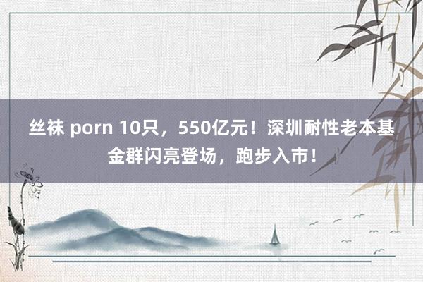 丝袜 porn 10只，550亿元！深圳耐性老本基金群闪亮登场，跑步入市！