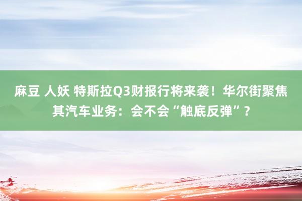 麻豆 人妖 特斯拉Q3财报行将来袭！华尔街聚焦其汽车业务：会不会“触底反弹”？