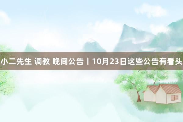 小二先生 调教 晚间公告丨10月23日这些公告有看头