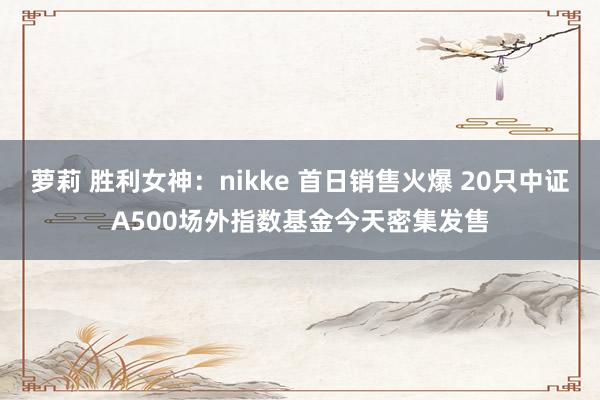 萝莉 胜利女神：nikke 首日销售火爆 20只中证A500场外指数基金今天密集发售