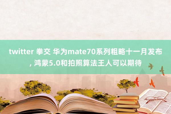 twitter 拳交 华为mate70系列粗略十一月发布， 鸿蒙5.0和拍照算法王人可以期待