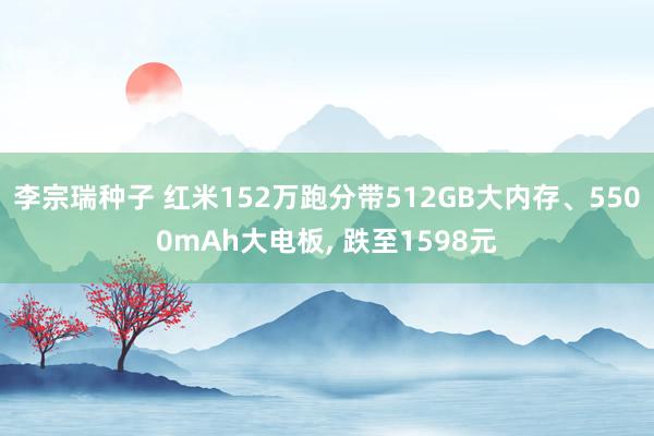 李宗瑞种子 红米152万跑分带512GB大内存、5500mAh大电板， 跌至1598元